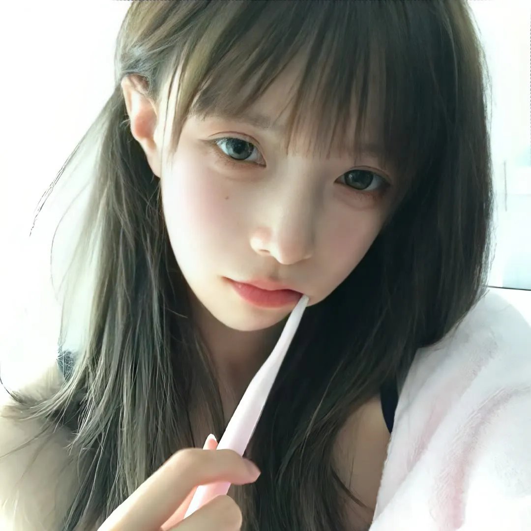 南北少林